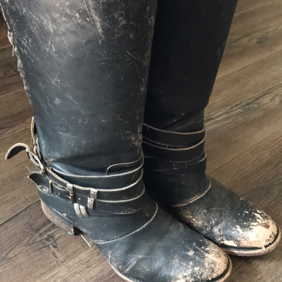 Freebird by Steven Drove - Picture 1 of 6